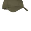 Olive Drab Green