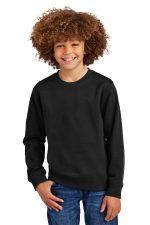 District Youth V I T Fleece Crew DT6104y